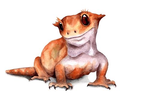 Crested Gecko Print Gecko Wall Decor Reptile Drawing Cute Etsy