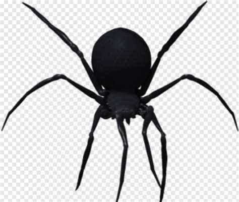 Spider Webs Fly Spider Black Widow Spider Spider Man Homecoming