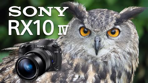 Sony RX10 Mk IV Review: Ultimate Fixed Lens Camera! 