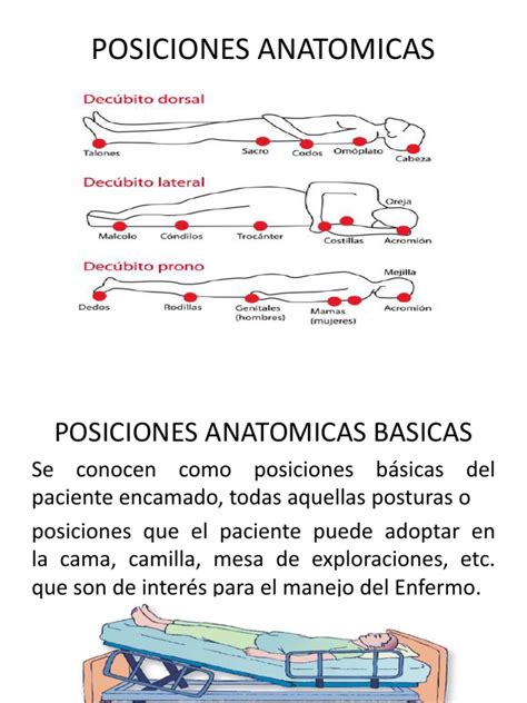 Ver más ideas sobre posiciones, posiciones sexuales, posicion sexual. Posiciones anatomicas