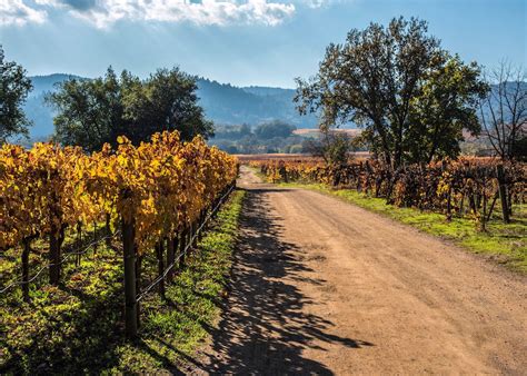 Visit Sonoma On A Trip To California Audley Travel