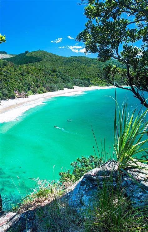 The Most Beautiful Beaches In New Zealand Most Beautiful Beaches