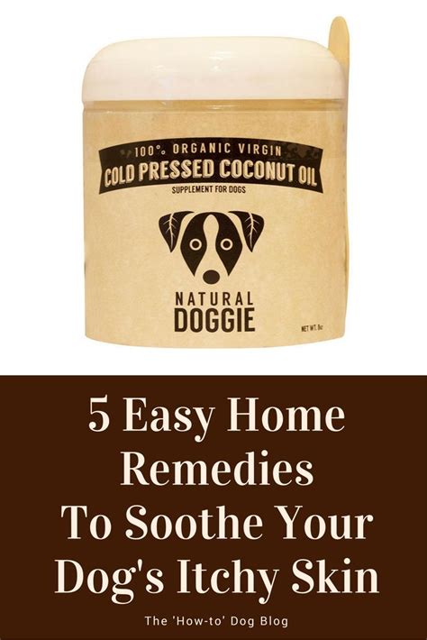 Use them in commercial designs under lifetime, perpetual & worldwide rights. Is Your Dog Constantly Scratching? | Itchy dog, Dog ...