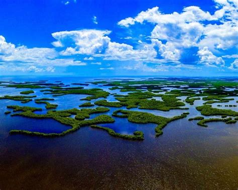 16 Things To Do In The Everglades That Every Traveller Can Enjoy