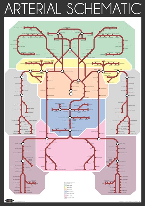 The rest is the same as above. Arterial Schematic on Meducation