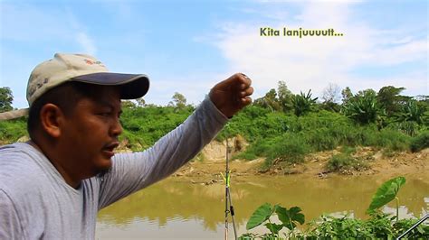 Berikut ini adalah 46 gambar ikan paus yang paling menakjubkan. Mancing ikan patin dan lampam lagi - YouTube