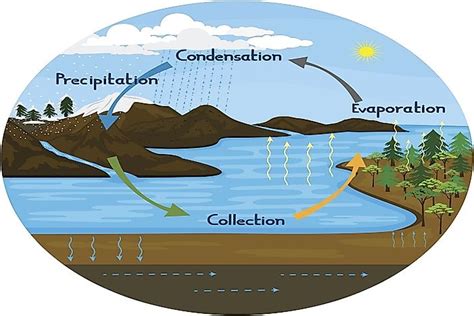 What Is The Water Hydrologic Cycle