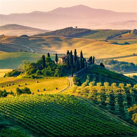 Best Places To Stay In Tuscany For Wine Tasting Savored Journeys