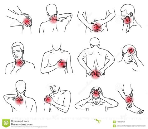 Human body, the physical substance of the human organism. Body Parts Injury Cartoon Vector | CartoonDealer.com #33348195