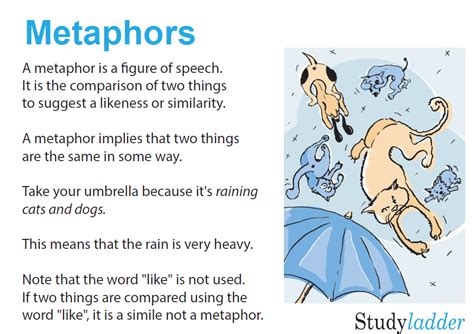 Metaphors Studyladder Interactive Learning Games