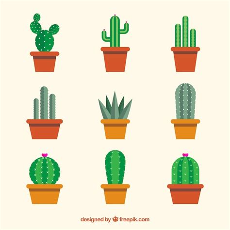 Free Vector Variety Of Cactus In Flat Design