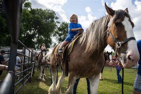 bay county fair 2019 kicks off with lots of fun for families