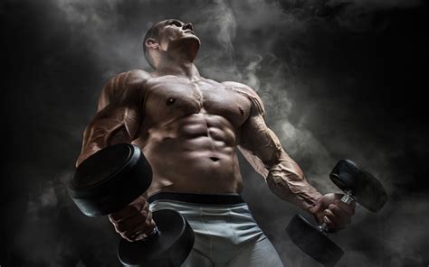 Download Muscle Bodybuilding Sports Hd Wallpaper