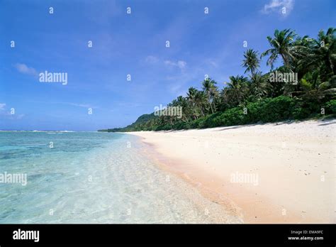 Guam Beach Palm Tree Hi Res Stock Photography And Images Alamy