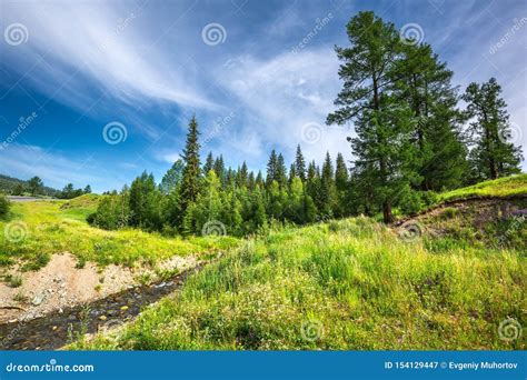 Mountain River Gorny Altai Russia Stock Image Image Of Southern