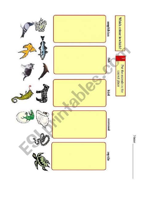 Critter Classification Amphibians Worksheets 99worksheets