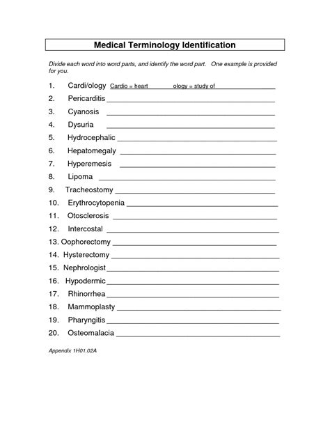 Free Printable Medical Terminology Worksheets
