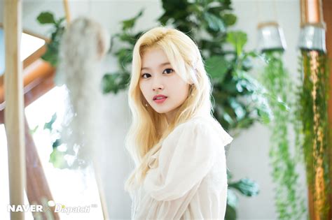 Sana Feel Special Promotion Photoshoot By Naver X Dispatch Twice Jyp Ent Photo