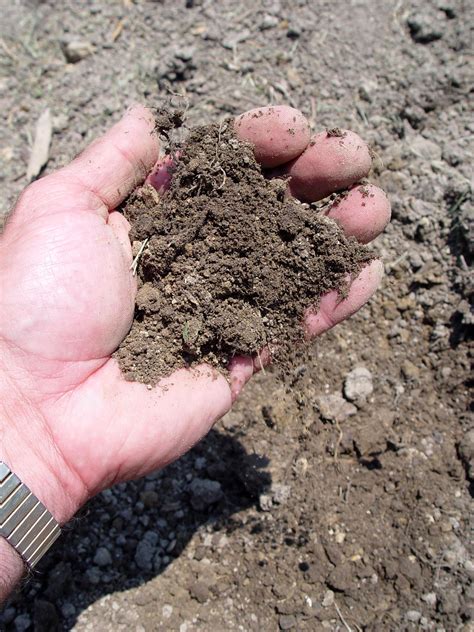 Dont Treat Your Soil Like Dirt Garden Housecalls