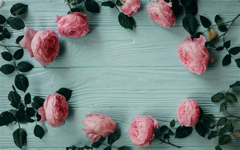 Floral and wood desktop wallpaper. Download wallpapers frame of pink roses, floral frame ...