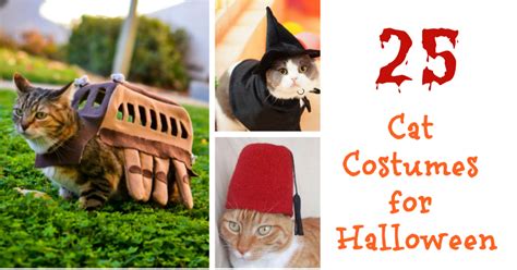 25 Cat Costumes For Halloween Budget Earth