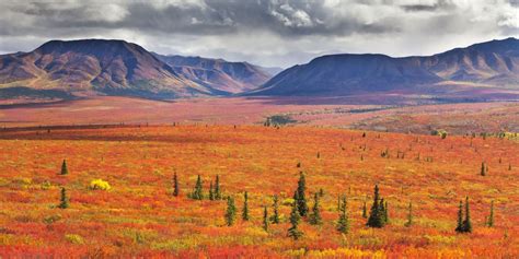 12 Best National Parks To Visit For Fall Colors
