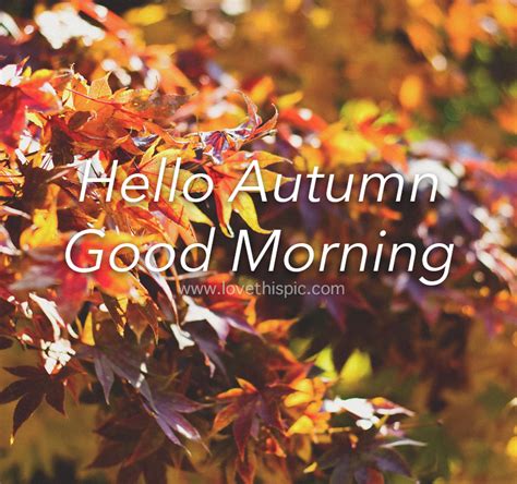 Autumn Leaves Hello Autumn Good Morning Quote Pictures Photos And