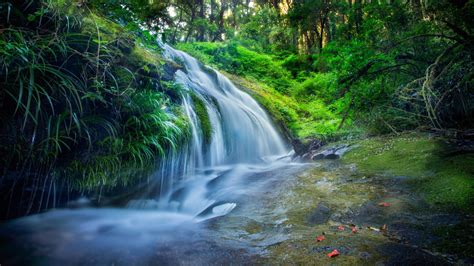 Wallpaper Forest 5k 4k Wallpaper 8k Rocks Trees