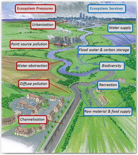 Increasing biodiversity, particularly wildlife populations, can benefit farmers by improving agricultural productivity potential. Why Restore? | The RRC