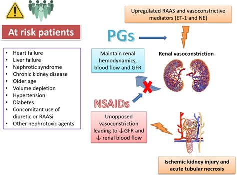 Acute Kidney Injury Associated With Non Steroidal Anti Inflammatory