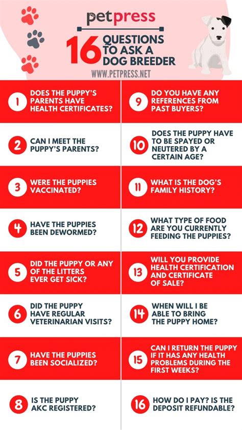 Questions To Ask A Dog Breeder Things To Know Before Buying A Puppy