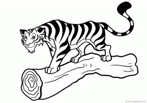 Dibujos de tigres para colorear descargar e imprimir Colorear imágenes