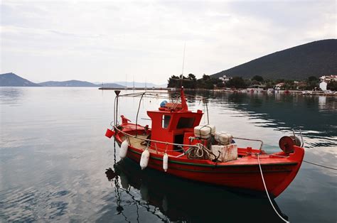 Εργάστηκε επί δύο μήνες στις σποράδες… προκειμένου να εξασφαλίσει κάποιο εισόδημα, αλλά δεν τον πλήρωσαν για τις εργασίες του και στο τέλος της σεζόν. Σκιάθος, Σποράδες, Αιγαίο, Ελλάδα .: Photos .: Ματιά