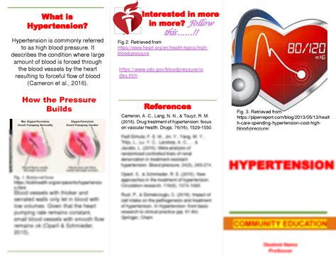 Solution Hypertension Brochure Studypool