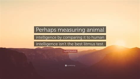 Ingrid Newkirk Quote Perhaps Measuring Animal Intelligence By