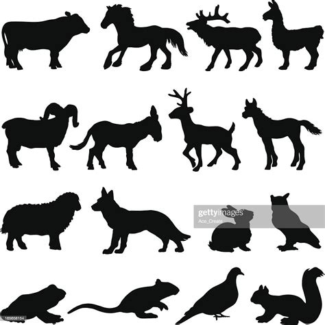 Country Farm Animal Silhouettes High Res Vector Graphic Getty Images
