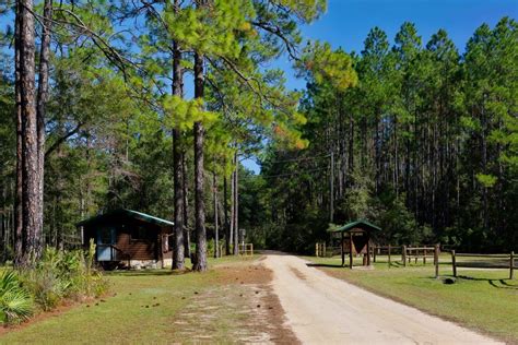 Lake Talquin State Park In Tallahassee Fl Americas State Parks