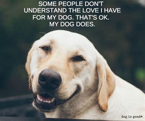 Dog Lover Quotes To Inspire You Some People Dont Understand The Love