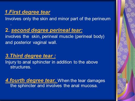 Third Degree Tear Perineal