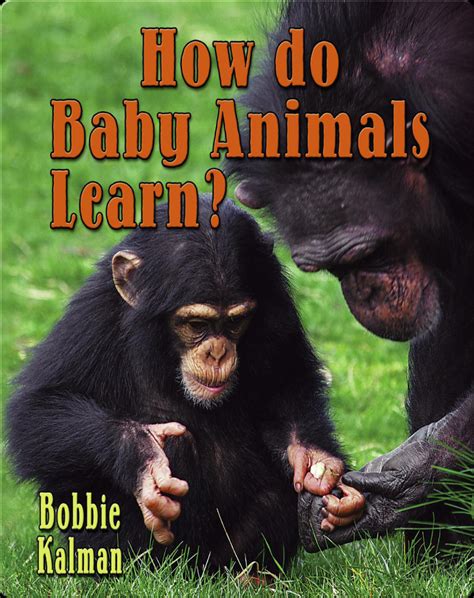 How Do Baby Animals Learn Book By Bobbie Kalman Epic