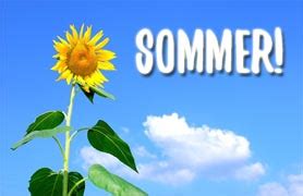 Weitere ideen zu sommer sprüche, sprüche, zitate. Coole Sommer Sprüche Bilder