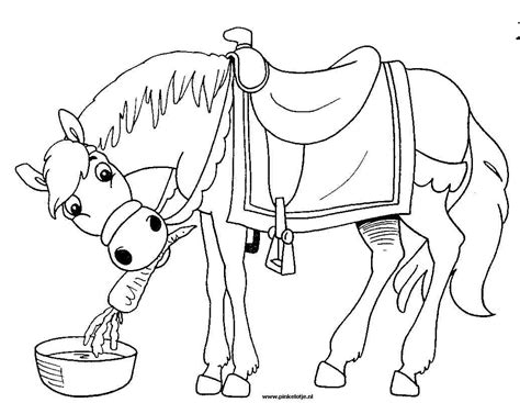 Kleurplaat Sinterklaas Kleurplaat Paard Van Sinterklaas » Animaatjes.nl