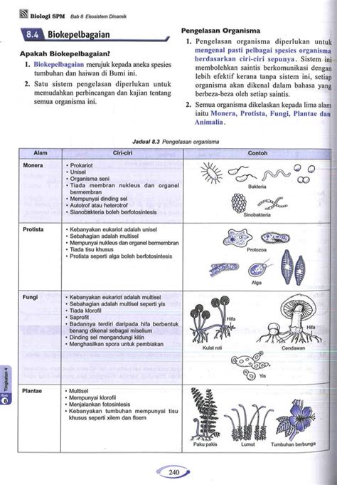 Biologi Tingkatan 4 Bab 8  Sukatan bab sains tingkatan 4.  ivsbirds