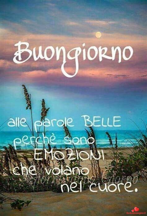 Immagini fiori per whatsapp fiori idea immagine sfondi desktop sfondi sfondi vari 4070. Sfondi Immagini Per Profilo Whatsapp Da Scaricare Gratis ...