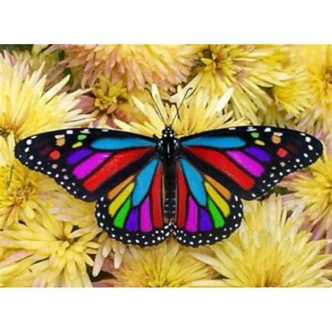 5d Diamond Painting Round Rainbow Butterfly Kit Bonanza Marketplace