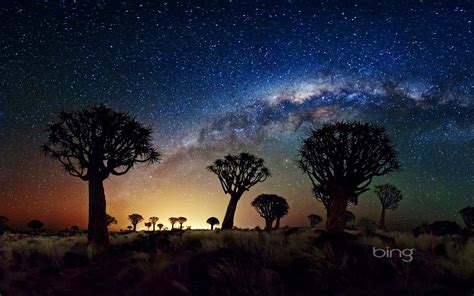 African Grasslands Night Sky May 2013 Bing Wallpaper Preview