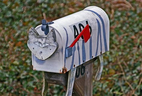 Jun 10, 2021 · these are some excerpts from letters dropped into the fairy mailbox of the fairy forest written by visitors themselves. Mr Puddy Zone: Cat Mailbox