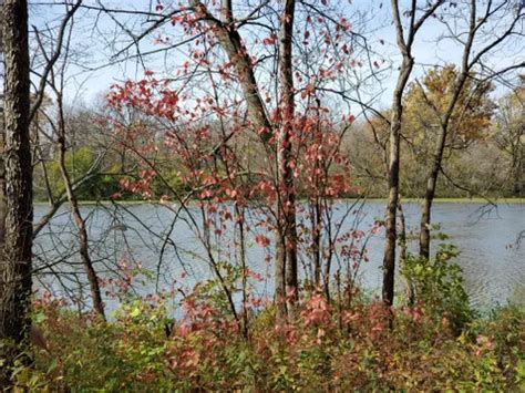 Best Hikes And Trails In Mckinley Woods County Forest Preserve Alltrails