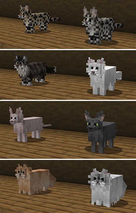 Better Cats Texture Pack Para Minecraft 120 119 118 Y 116 Minecrafteo