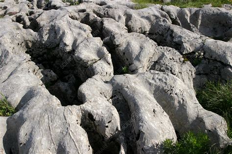 Limestone is usually a biological sedimentary rock, forming from the accumulation of shell, coral, algal, fecal, and other organic debris. Eroded limestone rock - Stock Image - E415/0217 - Science ...